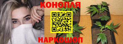 стаф Балашиха