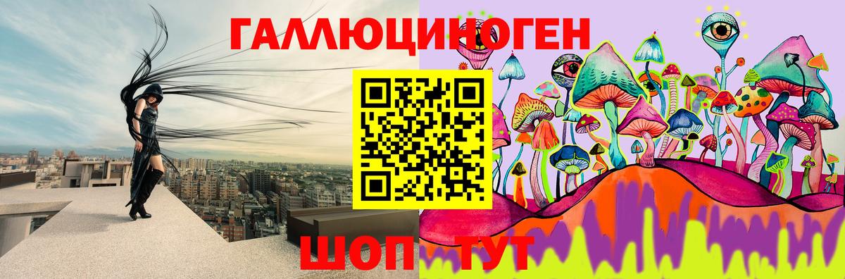 Псилоцибиновые грибы мухоморы  Вход с VPN  Псилоцибиновые грибы прущие грибы  Горно-Алтайск 